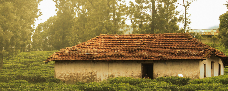 Beautiful Villages Footages Timelapse